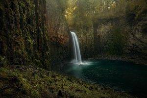nature, Landscape, Waterfall, Moss, Forest, Erosion, Oregon