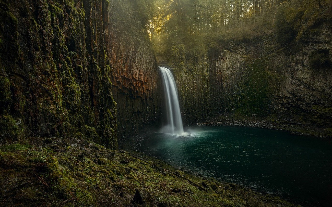 nature, Landscape, Waterfall, Moss, Forest, Erosion, Oregon Wallpaper