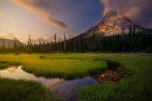 landscape, Nature, Sunset, Forest, Mountain, Clouds, Grass, Green, Creeks, Reflection, Water