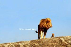quote, Inspirational, Lion