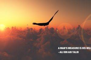 Ali Ibn Abi Talib, Islam, Imam, Quote, Eagle, Nature, Clouds, Sunrise, Motivational, Sunset