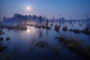 nature, Landscape, Mist, Moonlight, Evening, Trees, Lake, Reflection, Calm