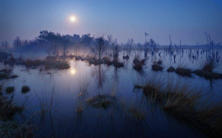 nature, Landscape, Mist, Moonlight, Evening, Trees, Lake, Reflection, Calm HD Wallpaper Desktop Background