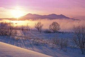 nature, Landscape, Winter, Sunrise, Mist, Mountain, Snow, Shrubs, Cold