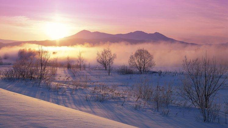 nature, Landscape, Winter, Sunrise, Mist, Mountain, Snow, Shrubs, Cold HD Wallpaper Desktop Background