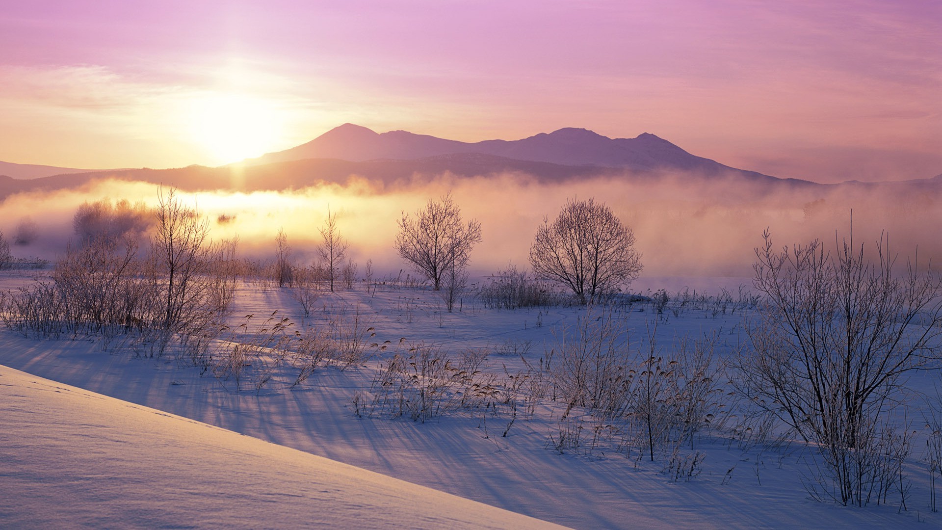 nature, Landscape, Winter, Sunrise, Mist, Mountain, Snow, Shrubs, Cold Wallpaper