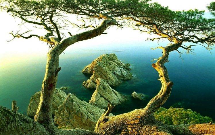 nature, Landscape, Trees, Rock, Coast, Sunrise, Mist, Sea, Water HD Wallpaper Desktop Background