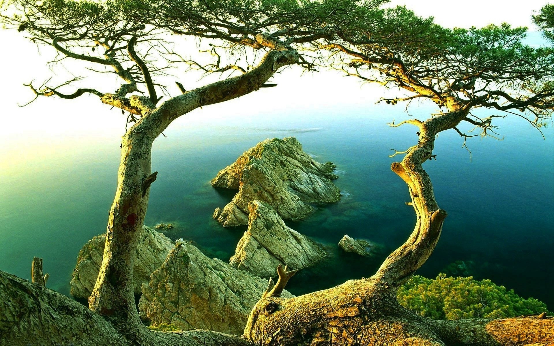 nature, Landscape, Trees, Rock, Coast, Sunrise, Mist, Sea, Water Wallpaper