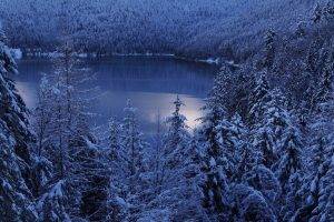 landscape, Nature, Lake, Winter, Mountain, Forest, Snow, Calm, Trees, Morning, Cold