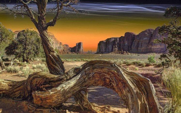 nature, Landscape, Monument Valley, Dead Trees, Shrubs, Trees, Rock, Grass, Sunrise, Sunlight HD Wallpaper Desktop Background