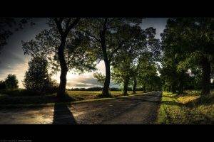 trees, Path, Alone, Green, Road, Sunset, Shadow, Landscape