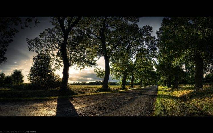 trees, Path, Alone, Green, Road, Sunset, Shadow, Landscape HD Wallpaper Desktop Background