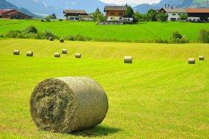 nature, Landscape, Hay, Field, Haystacks, Austria, Grass, House, Hill, Trees, Forest, Mountain, Alps