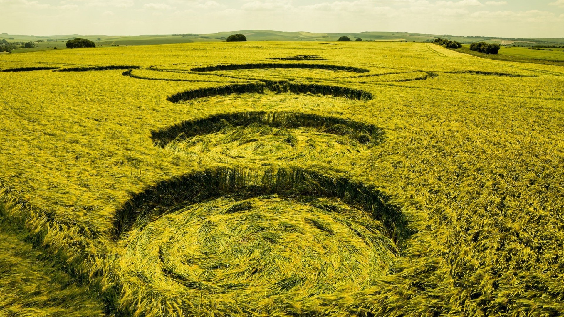 nature, Landscape, Hay, Field, Circle, Hill, Trees, UFOs Wallpaper