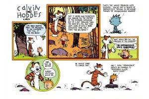 Calvin And Hobbes, Comics