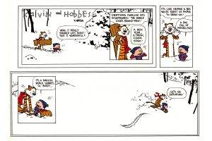 Calvin And Hobbes, Comics
