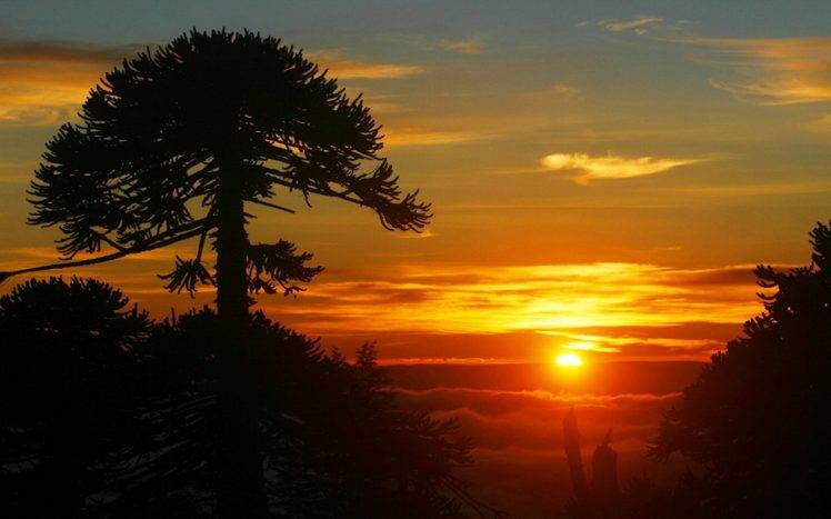 nature, Landscape, Trees, Sunset, Clouds, Mist, Island, Chile HD Wallpaper Desktop Background