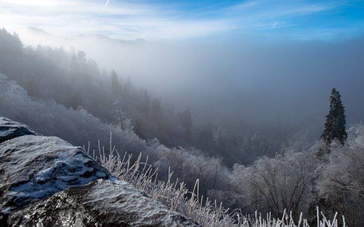 nature, Landscape, Sunrise, Winter, Mist, Forest, Snow, Cold, Trees, Hill HD Wallpaper Desktop Background