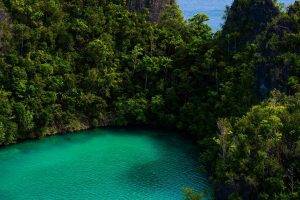 landscape, Nature, Tropical, Sea, Green, Turquoise, Forest