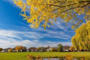 landscape, Nature, Trees, House, Yellow, Green, Blue, Park