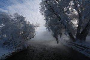 nature, Landscape, Mist, Snow, River, Trees, Shrubs, Winter, Clouds, Frost, Cold