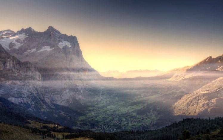 nature, Landscape, Mist, Valley, Forest, Mountain, Morning HD Wallpaper Desktop Background