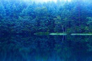 lake, Forest, Nature, Mirror