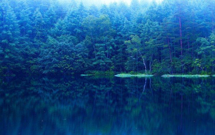 lake, Forest, Nature, Mirror HD Wallpaper Desktop Background