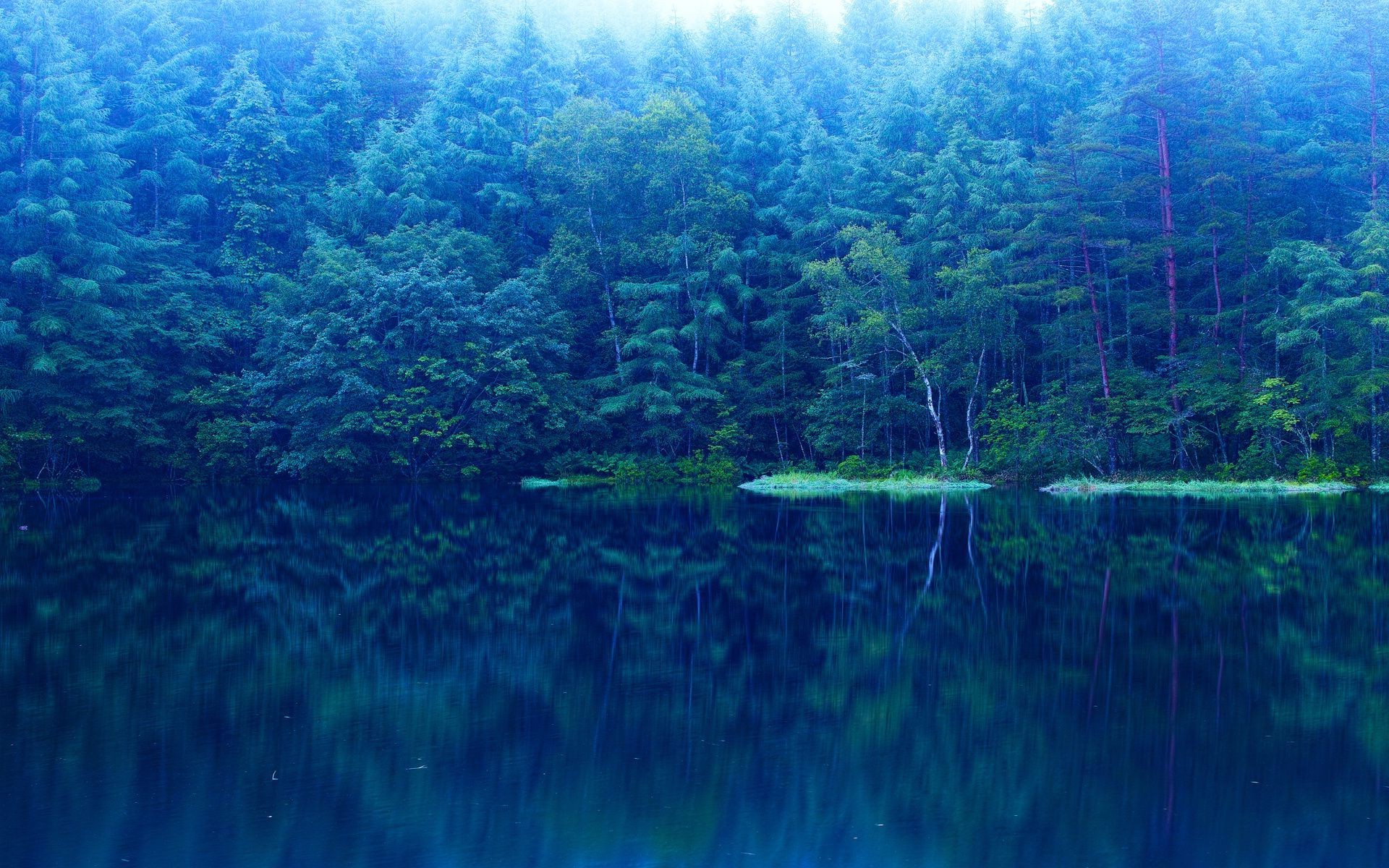 lake, Forest, Nature, Mirror Wallpaper