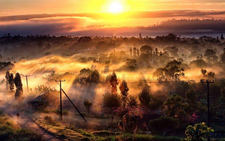nature, Landscape, Sunrise, Mist, Villages, Trees, Sun Rays, Road, Hill, Morning HD Wallpaper Desktop Background