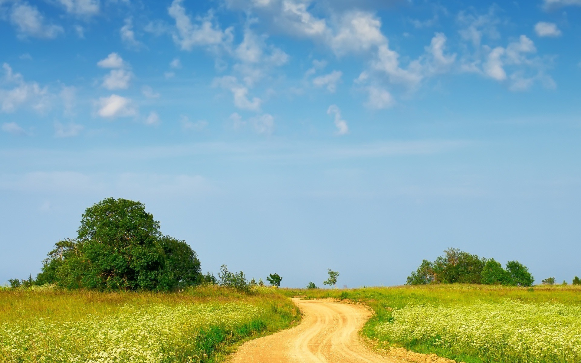 landscape Wallpaper