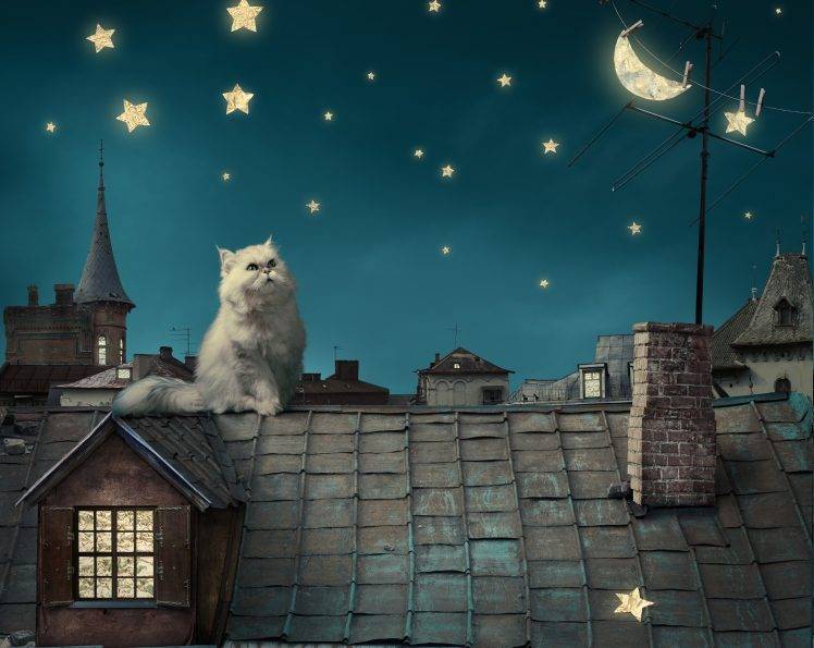 animals, Cat, Stars, Moon, Crescent Moon, House, Rooftops, Digital Art, Persian Cat HD Wallpaper Desktop Background