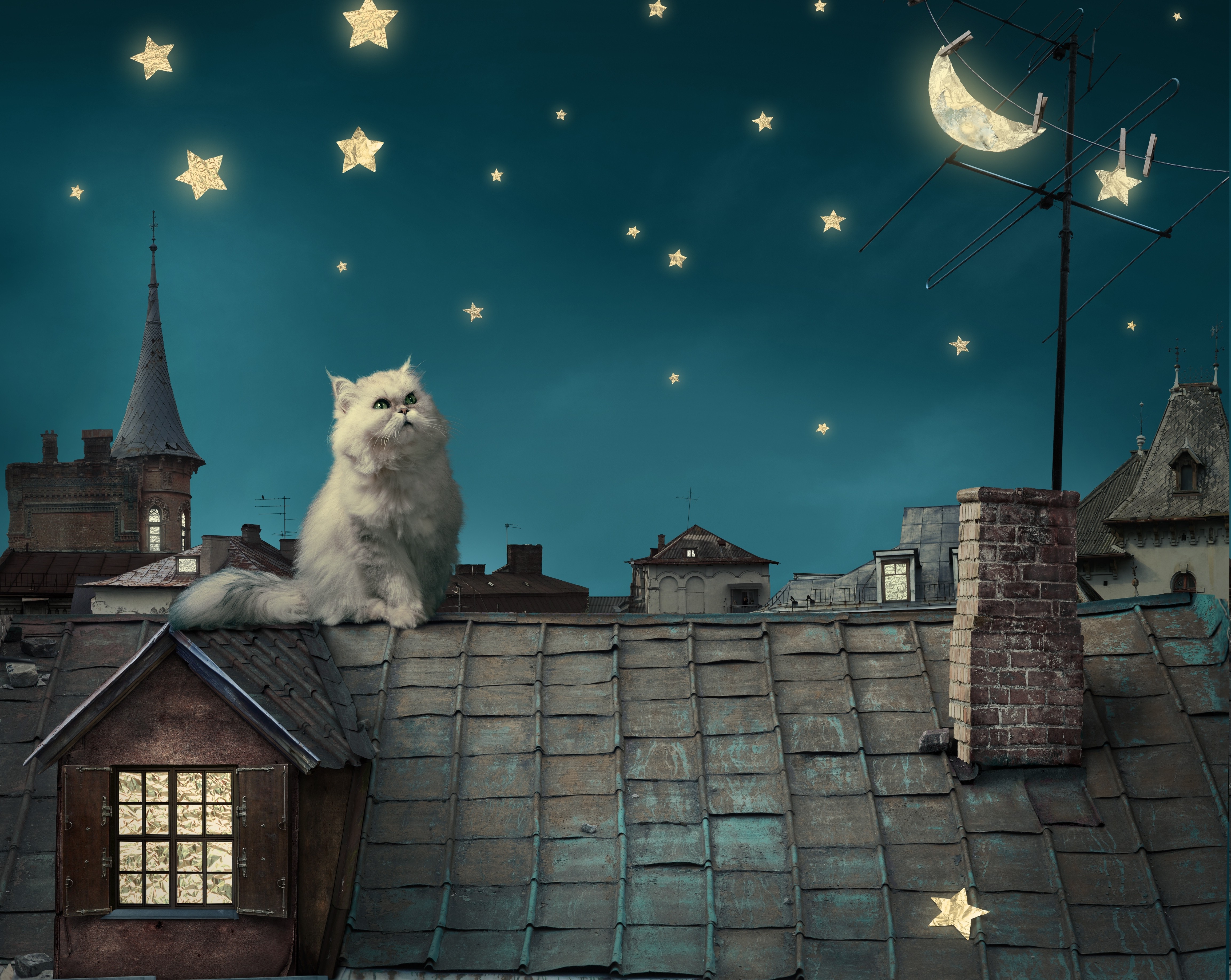 animals, Cat, Stars, Moon, Crescent Moon, House, Rooftops, Digital Art, Persian Cat Wallpaper