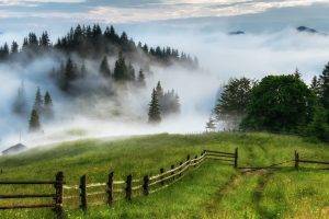 nature, Landscape, Mist, Fence, Grass, Hill, Trees, Field, Hut
