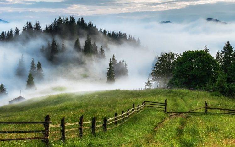 nature, Landscape, Mist, Fence, Grass, Hill, Trees, Field, Hut HD Wallpaper Desktop Background