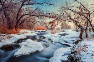 nature, Landscape, Winter, River, Snow, Trees, Shrubs, Sunset