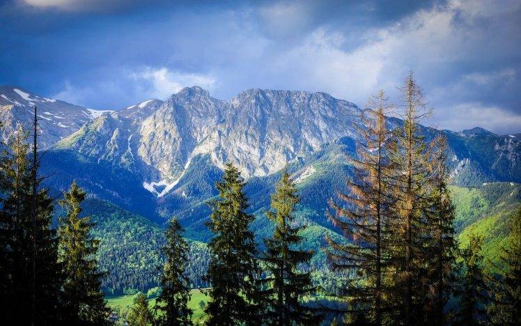 nature, Landscape, Mountain, Forest, Carpathians, Trees, Clouds, Summer, Poland HD Wallpaper Desktop Background
