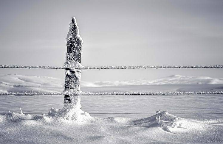 winter, Snow, Landscape, White HD Wallpaper Desktop Background