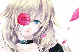 rose, Anime Girls, Vocaloid, IA (Vocaloid)