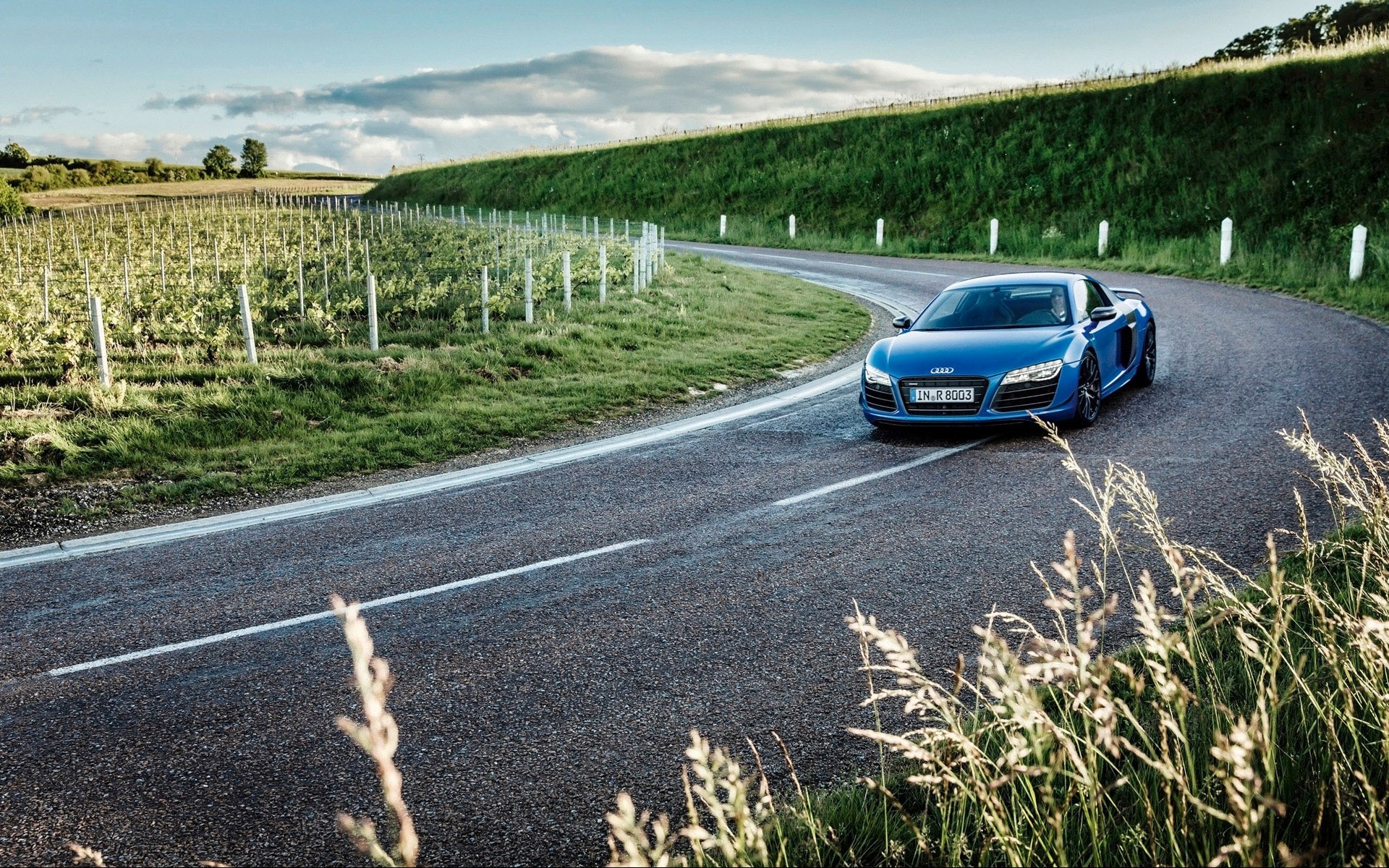 car, Audi, Audi R8, Road, Plants, Field Wallpaper