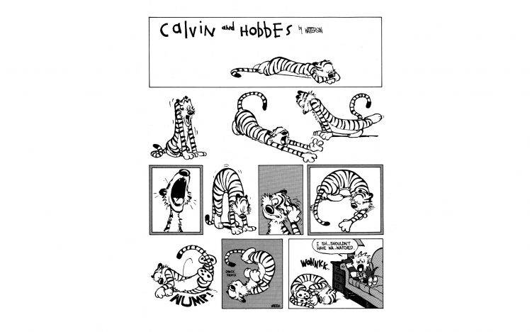 Calvin And Hobbes, Comics, Simple HD Wallpaper Desktop Background