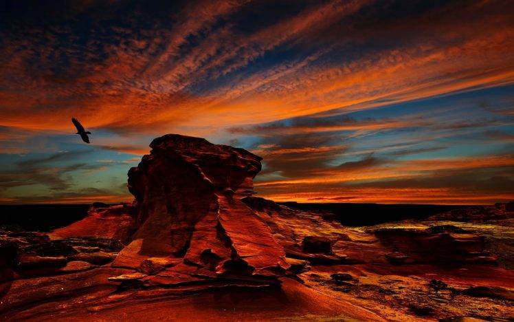 desert, Atacama Desert, Sunset, Rock, Erosion, Birds, Condors, Flying, Clouds, Chile, Nature, Colorful, Landscape HD Wallpaper Desktop Background