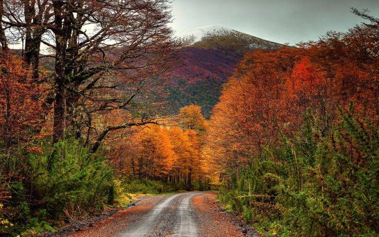 landscape, Fall, Colorful, Dirt Road, Forest, Mountain, Chile, Snowy Peak, Trees, Shrubs HD Wallpaper Desktop Background