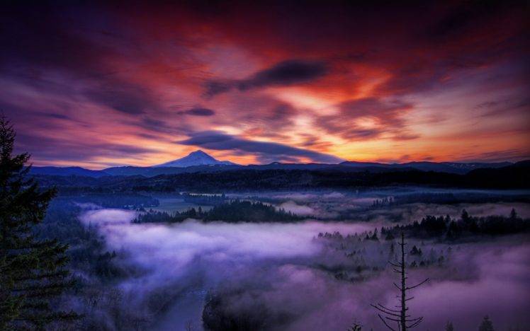 nature, Landscape, Sunset, Mist, Mountain, Forest, Clouds, Valley, Snowy Peak, Oregon HD Wallpaper Desktop Background
