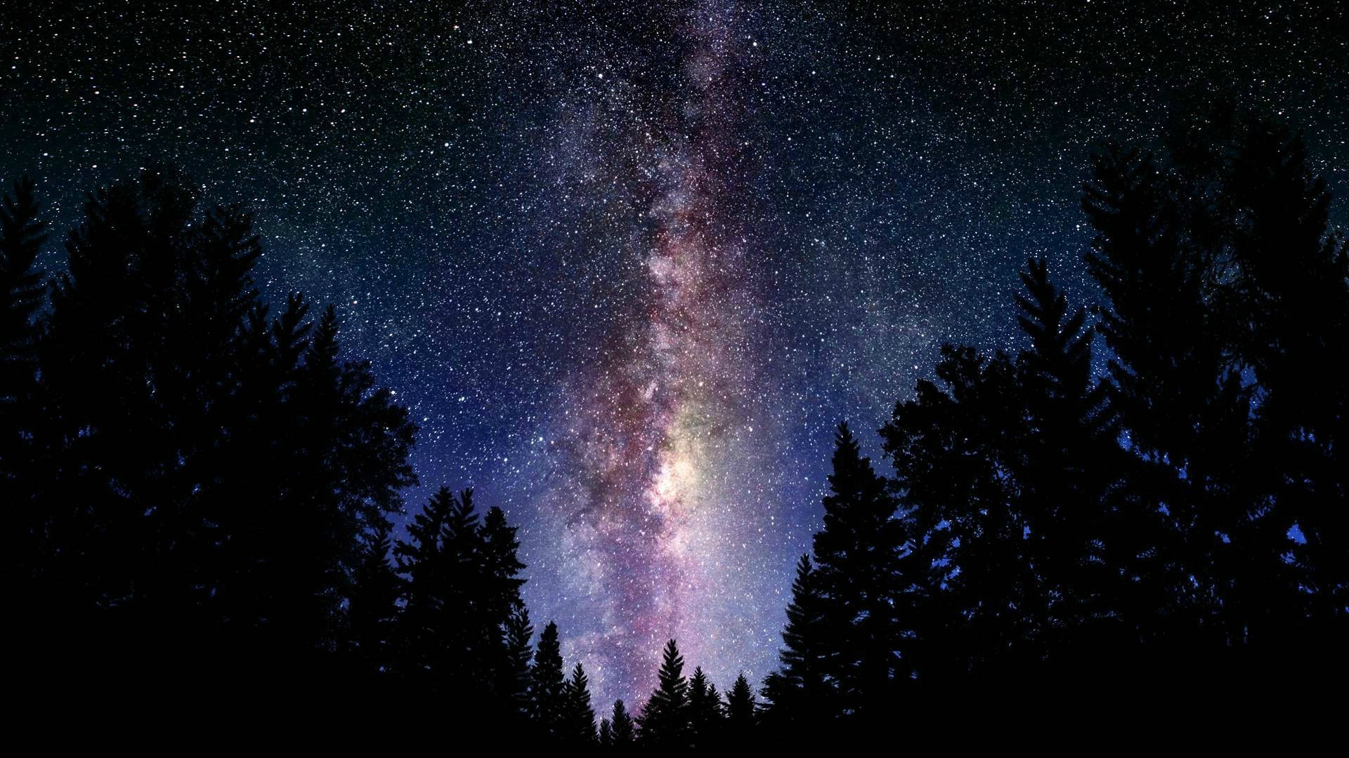 digital Art, Space, Forest, Forest Clearing, Stars Wallpaper