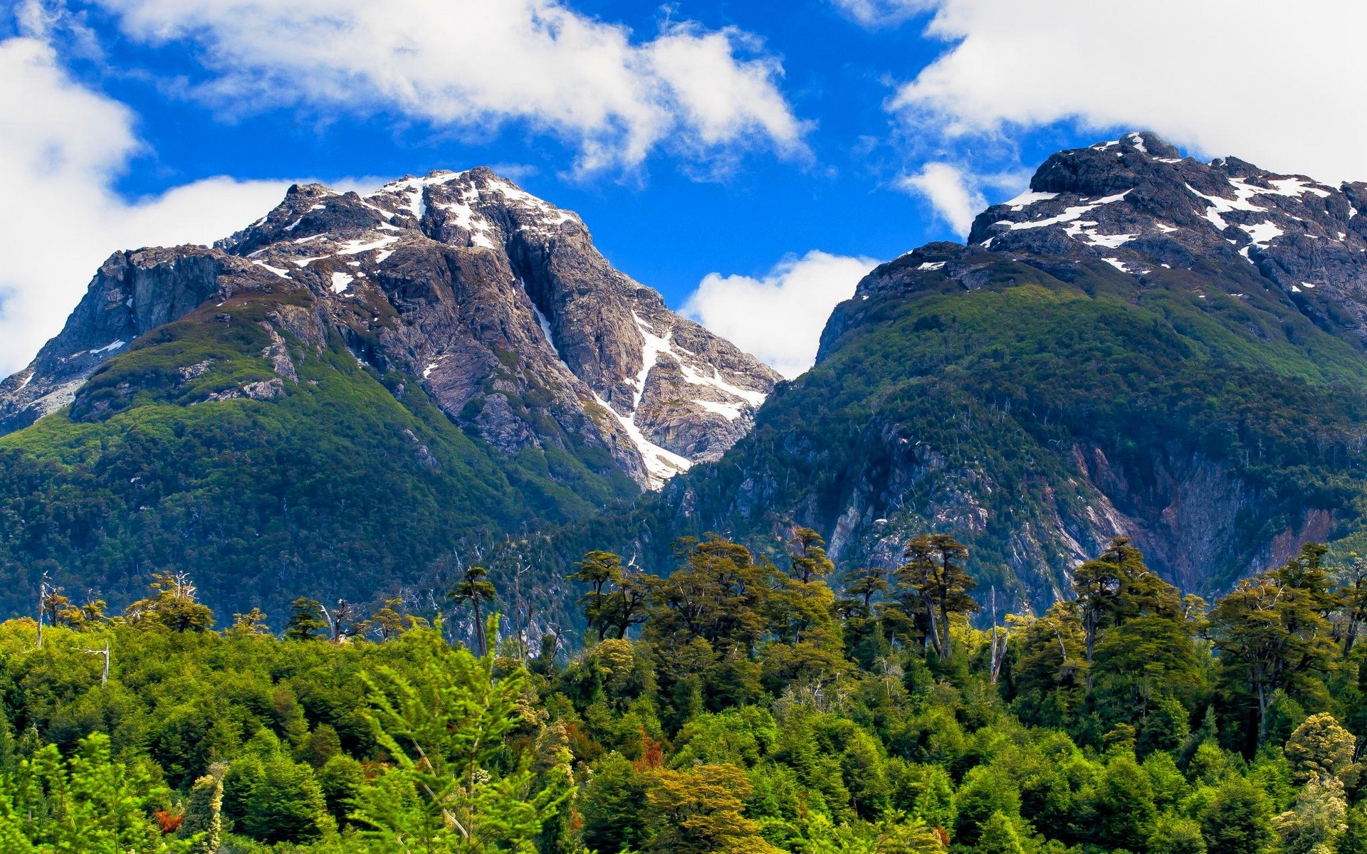landscape, Nature, Chile, Summer, Mountain, Forest, Clouds, Patagonia, Snowy Peak, Trees, Green Wallpaper