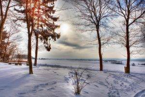 winter, Landscape, Trees, Snow