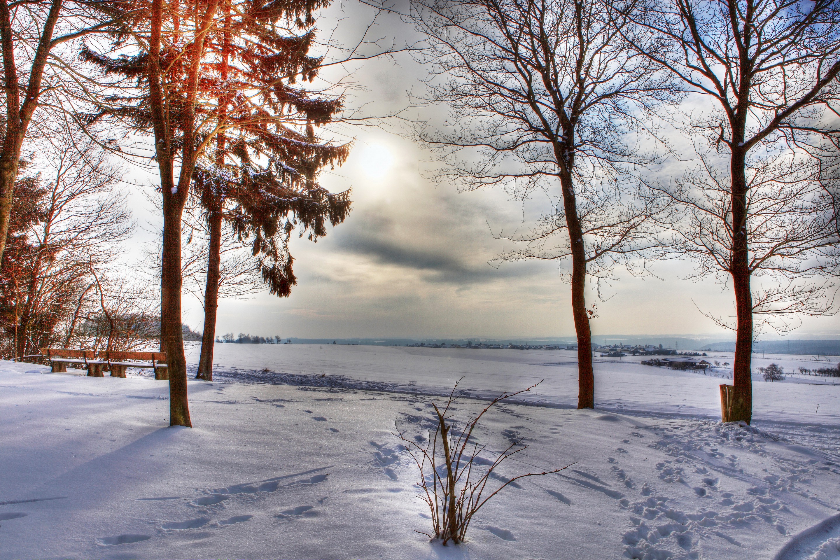 winter, Landscape, Trees, Snow Wallpaper