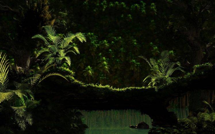 landscape, Nature, Forest, Sunlight, Ferns HD Wallpaper Desktop Background