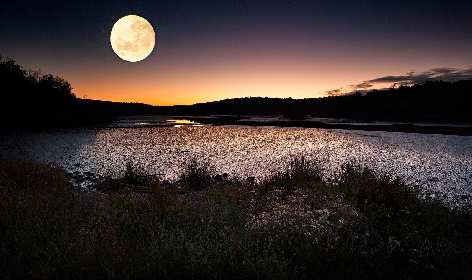 landscape, Nature, Evening, River, Shrubs, Wildflowers, Hill, Moon,  Moonlight Wallpapers HD / Desktop and Mobile Backgrounds